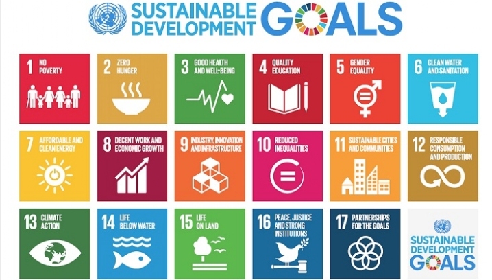 Bees, Leas and SDGs